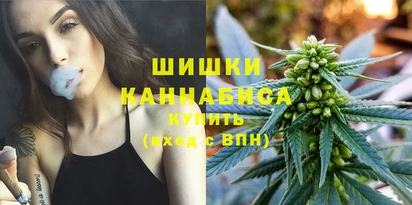 винт Баксан